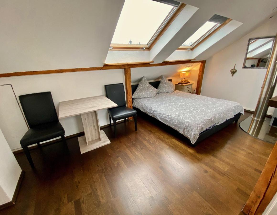 Wohnen Ueber Den Daechern Von Ravensburg, Stadtnah, Kamin, Klima Apartman Kültér fotó