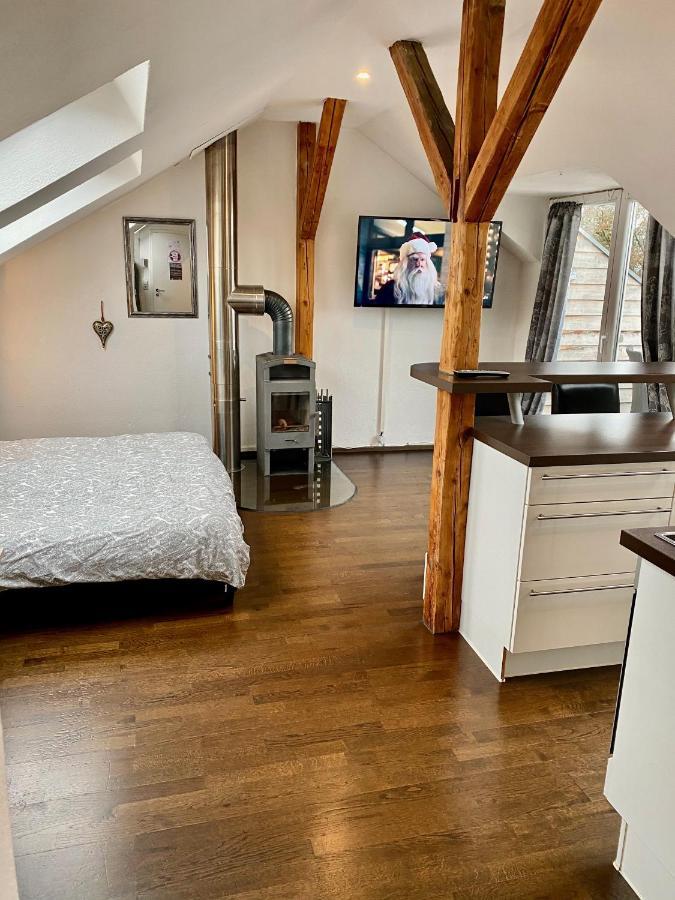 Wohnen Ueber Den Daechern Von Ravensburg, Stadtnah, Kamin, Klima Apartman Kültér fotó