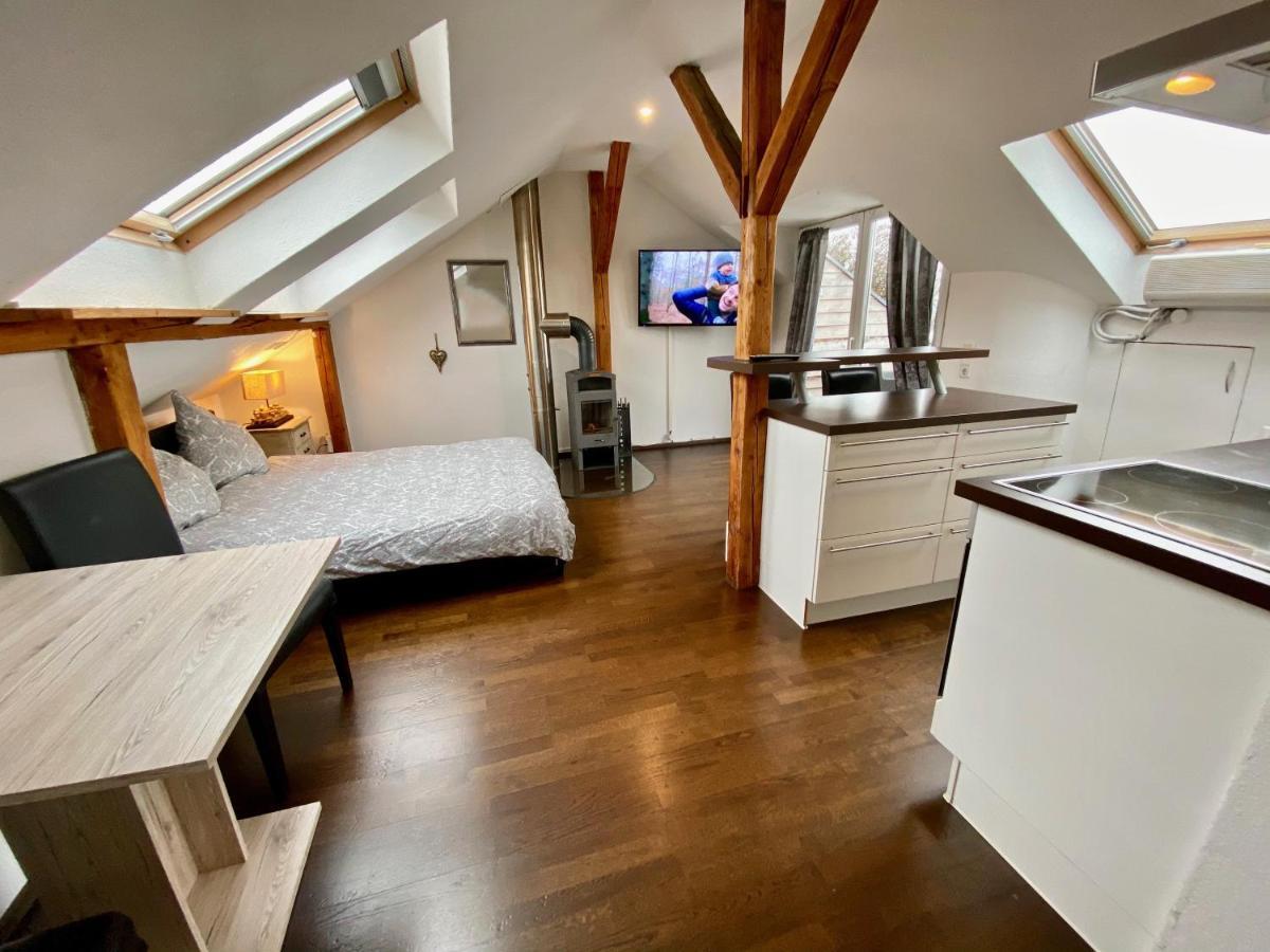 Wohnen Ueber Den Daechern Von Ravensburg, Stadtnah, Kamin, Klima Apartman Kültér fotó